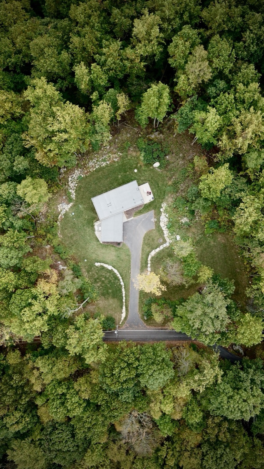 Aerial of forest canopy