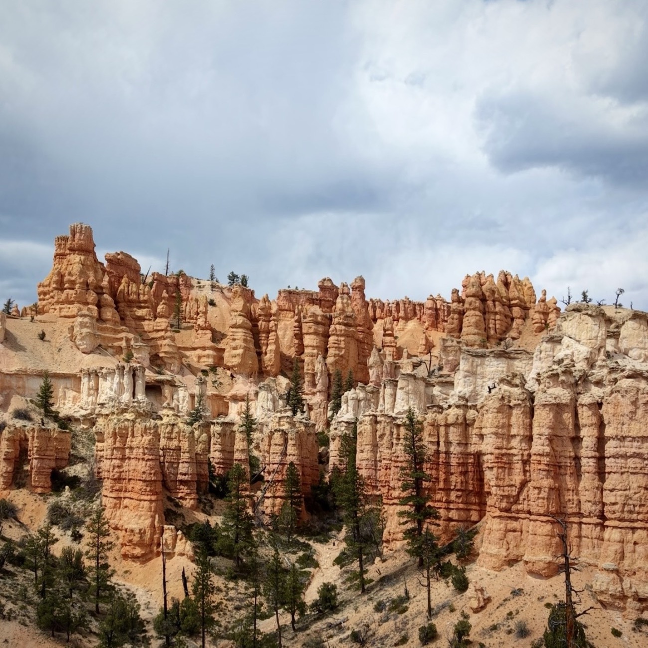 Bryce Canyon hoodoos