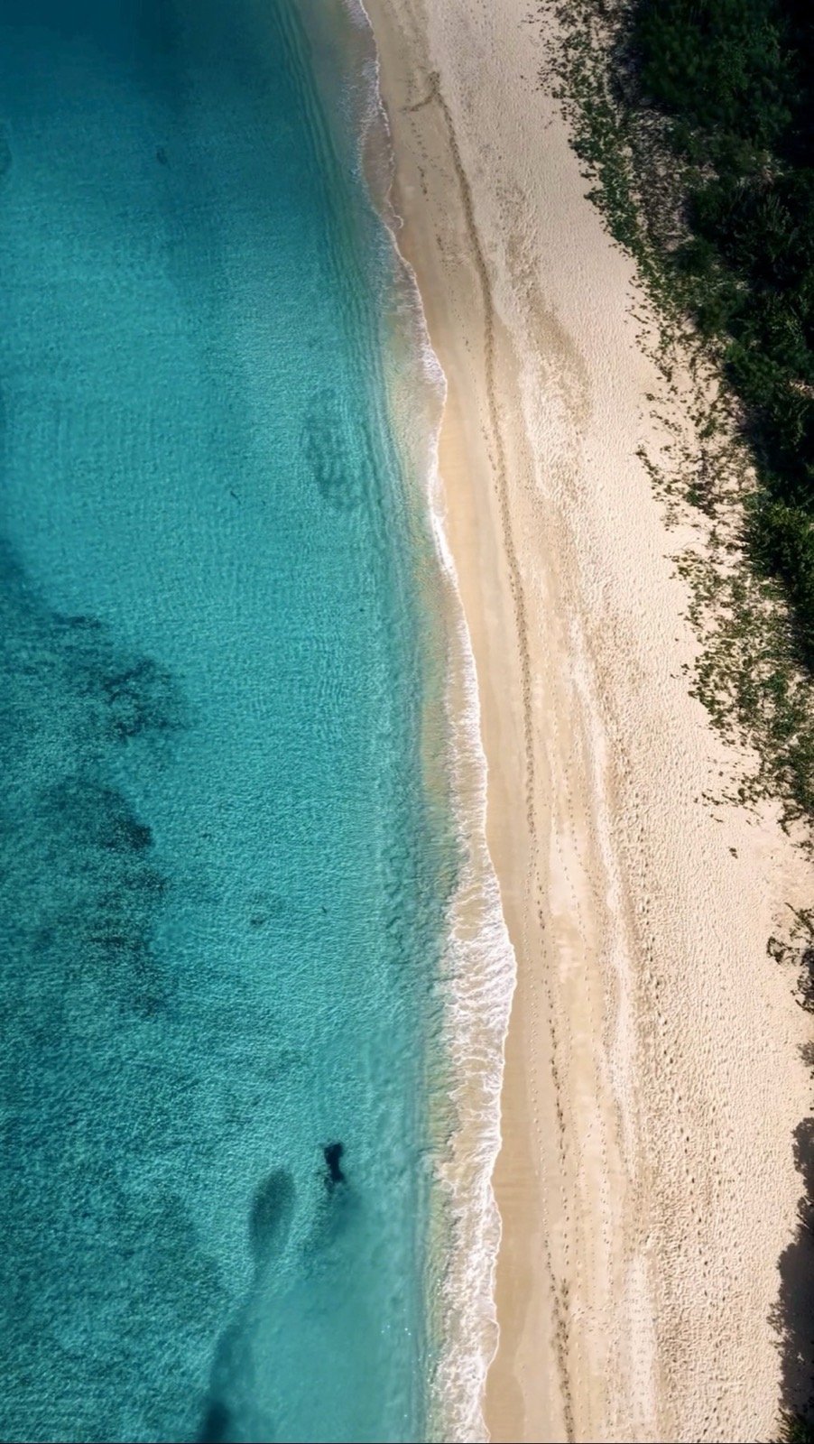 Aerial of a beach shoreline
