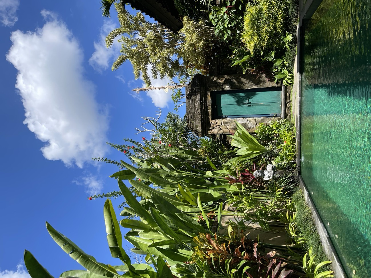 Pool and tropical garden, Bali